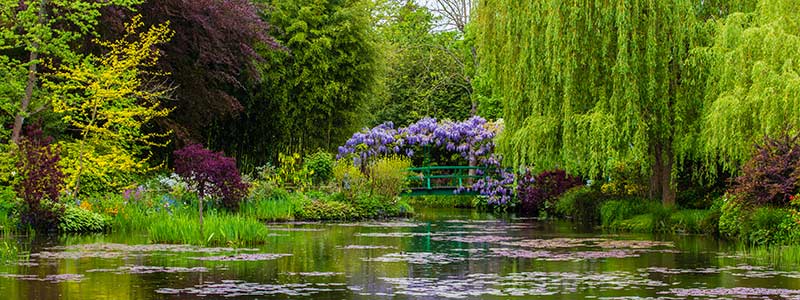 GardenDiy's tweet photo. Claude Monet's garden, Giverny where art and garden design fall in love. #gardening #GardenDesign https://t.co/dGlh0FqUbK