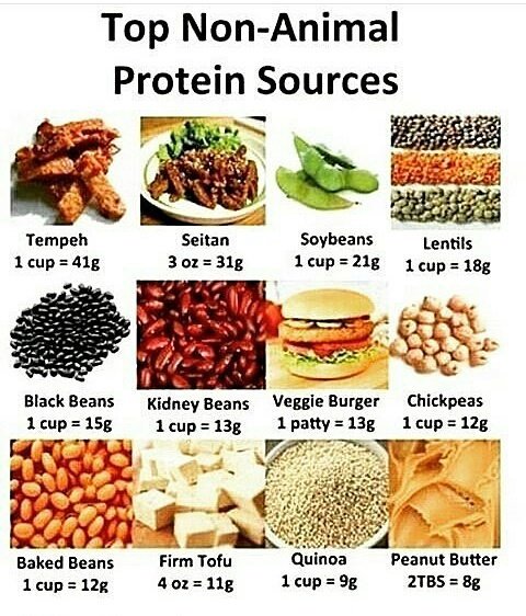 vegtrips's tweet photo. Did you know? #foodblogger #vegetarian #Vegan #Vegano #خضرية #food #비거니즘 #healthtips. #veggies. #Vegtrips https://t.co/Ou6m0y4if8