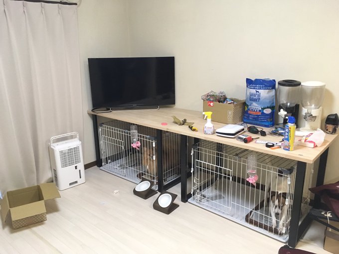 海外でお洒落すぎる 室内用 犬小屋 のdiy参考デザイン８選 Reform Mania