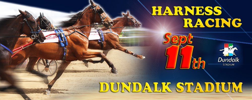 Irish Harness Racing tweet media