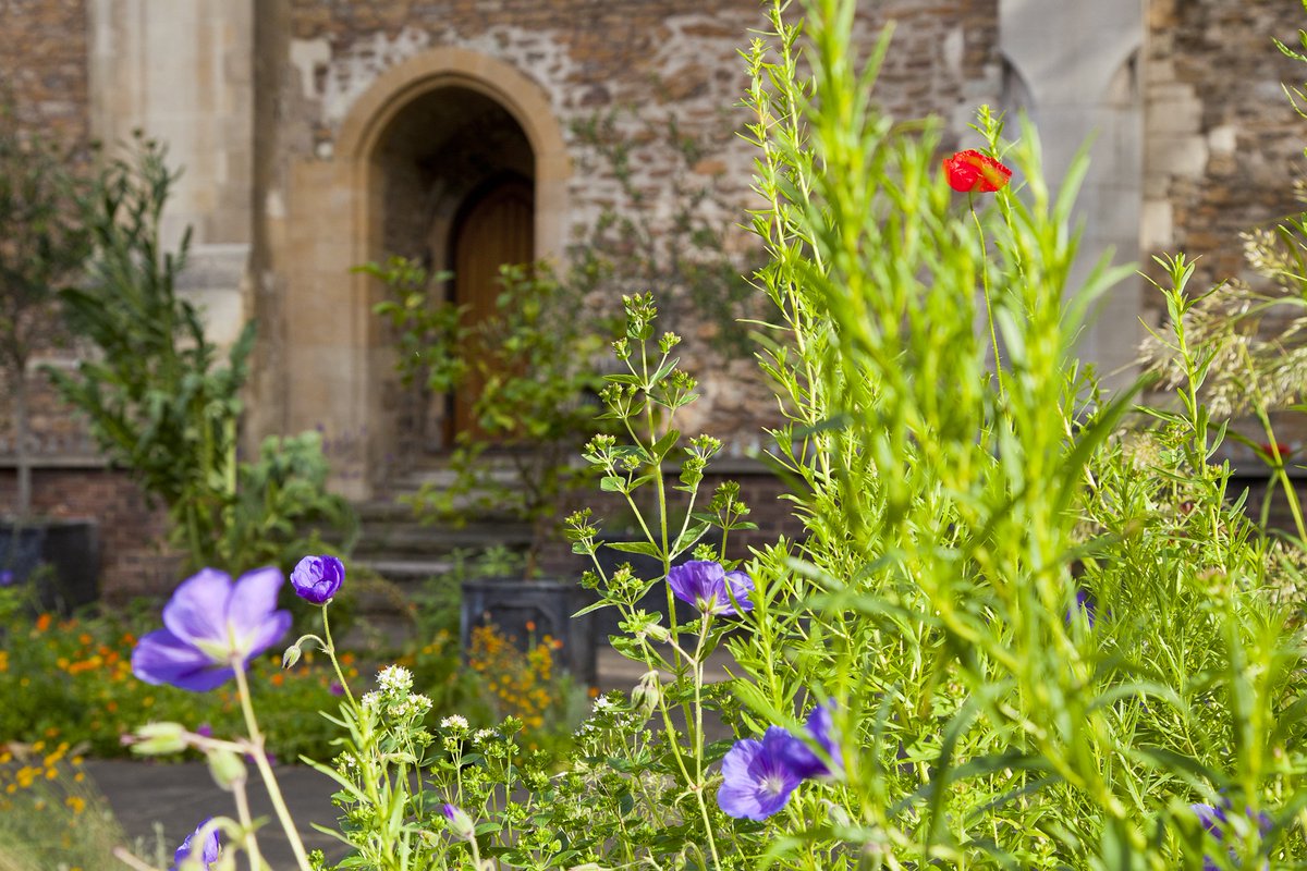 The promise of cocktails in the sun is our #mondaymotivation today! Join us and <a href="/GinGarden/">The Gin Garden</a> this Friday 5pm-9pm!
