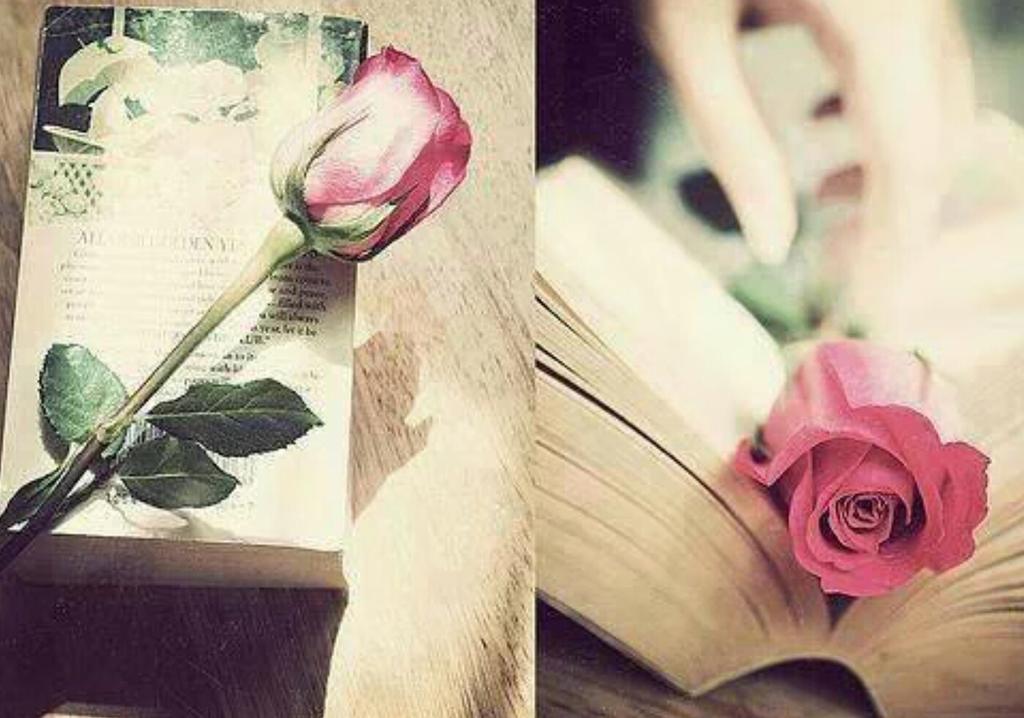 رقي الكلمة وأناقتها تتحدث بصمت عن رقي صاحبها وأناقته،،
فالبعض نُحبهم من خلال حروفهم .🌺🍃

#قروب_دنيتي_للدعم