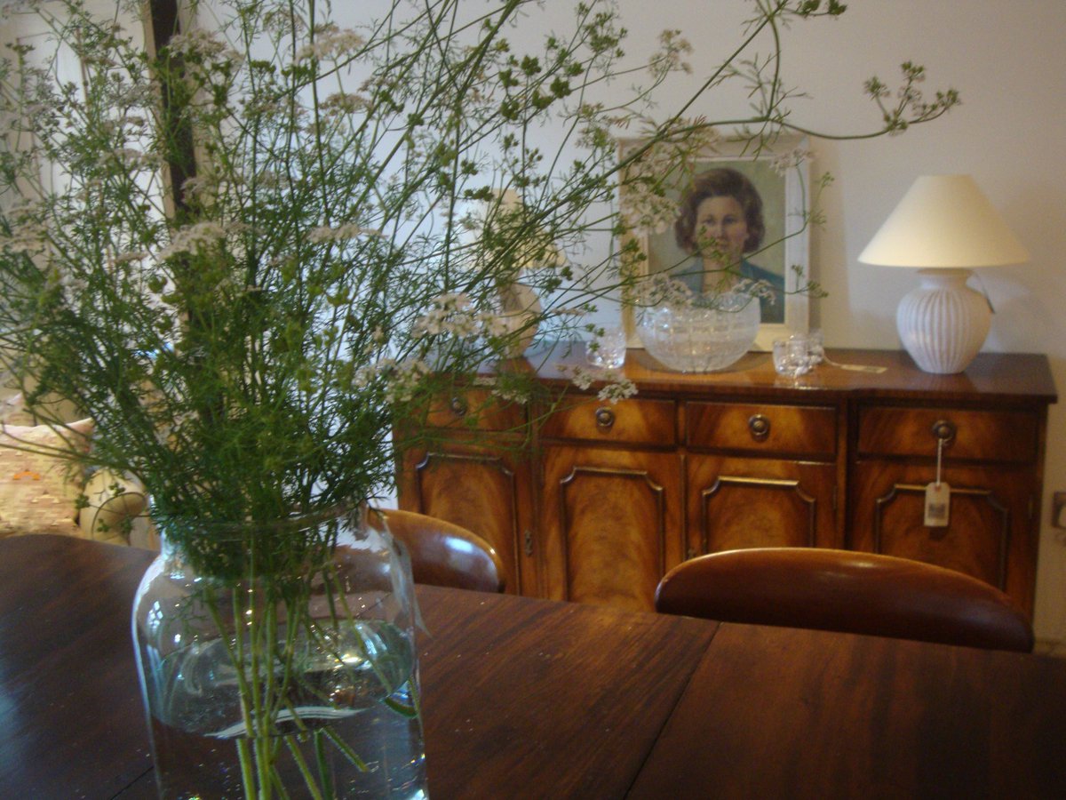 WilsonDevelopment tweet media