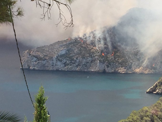 View image on Twitter