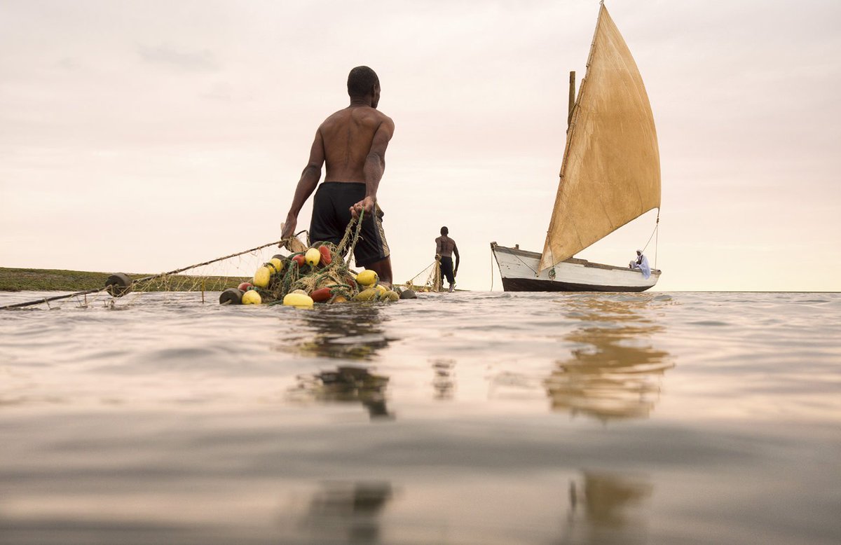 READBUGapp's tweet photo. Read about Jody Macdonal's travels through Mauritania in @SidetrackedMag 7. 
#adventure #travel https://t.co/t8lr3uIQ34