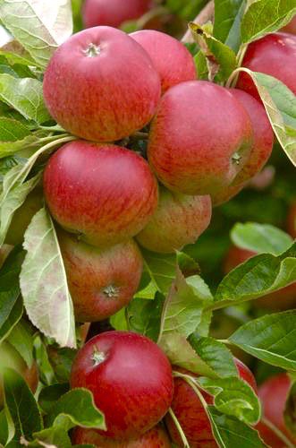 Love good food? <a href="/LeeFoodAssembly/">Lee Food Assembly</a> launches this month. Order from the farm gate. Read more bit.ly/2cBOyL5