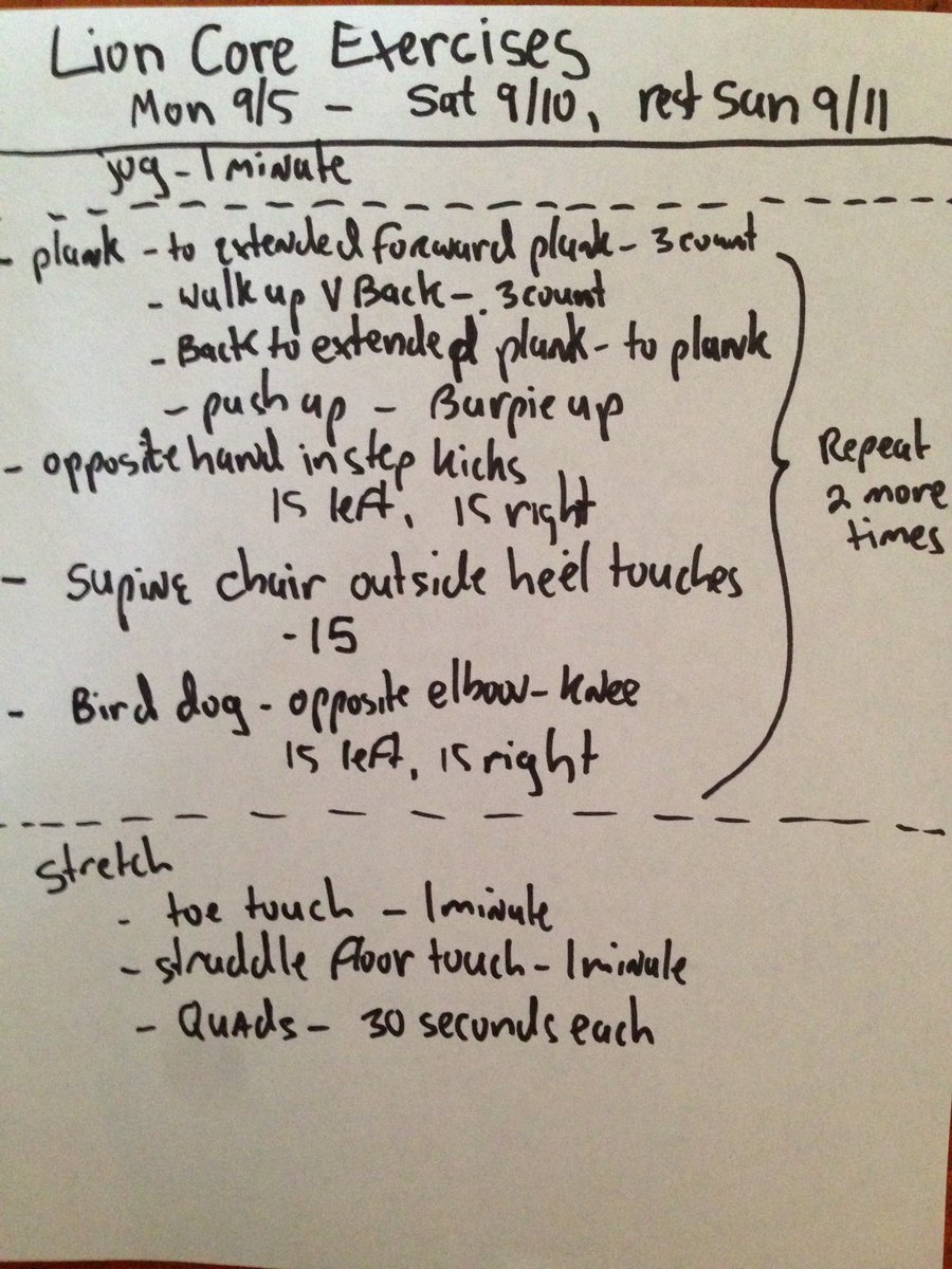 dugLiontrainer's tweet image. #strongtothecore