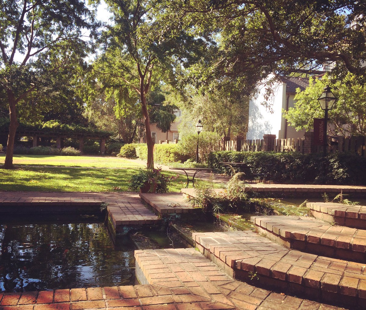 Charleston40's tweet photo. Stern Gardens is a hidden gem on campus. Who wouldn't want to study here? https://t.co/BwcV758syN