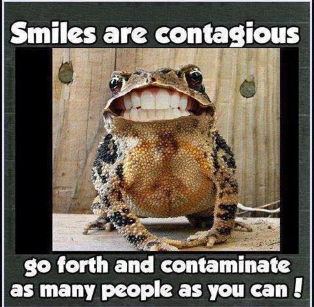 PlexusDeb's tweet image. Happy Monday!  Share your smile today!