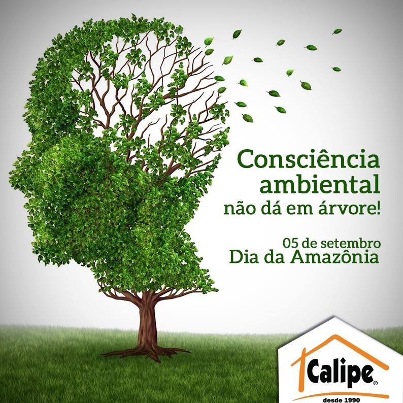 UniversoDaChama's tweet photo. Dia 05 Setembro - Dia da Amazônia #BomDia #Preservação #Consciência #Ambiental #5deSetembro #DiaDaAmanzônia #Calipe https://t.co/rclDkdtcCW