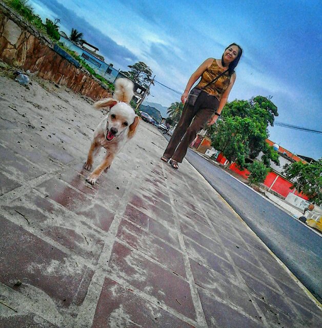 VictorAMachadoR's tweet photo. Mi madre con su perrita #Fotografía #Venezuela #ACUARIO #PuertoLaCruz #lecheria #FOTOS #playa #paisaje #perspectiva https://t.co/h12JaQOPxU