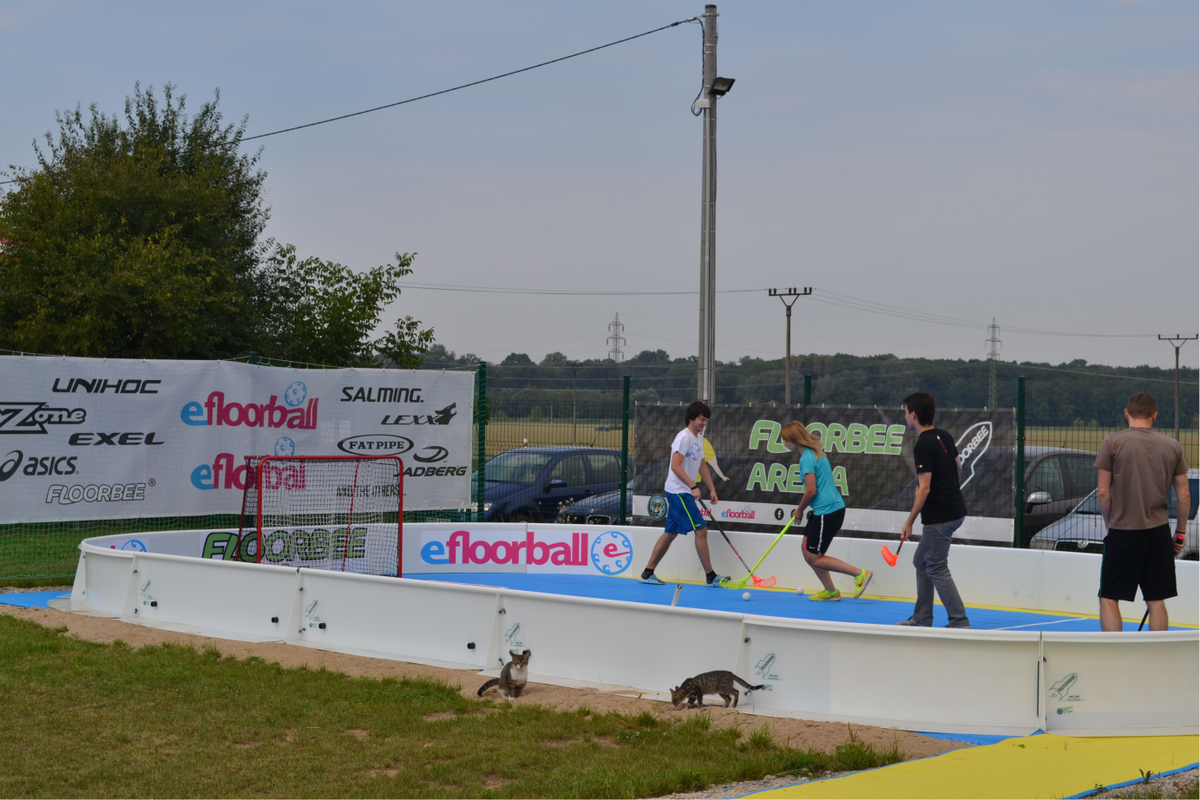 eFloorball's tweet photo. Even our IT section tried our #testfield in front of our warehouse! :) #floorball #Cats https://t.co/Kkjasg5P4A