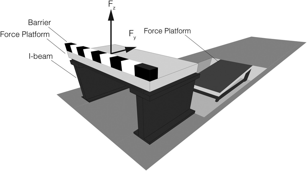 Shalaya Kipp tweet media