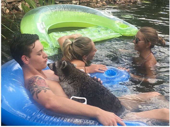 I'm sure you've done a lot in your life, but have you ever went tubing with a raccoon?