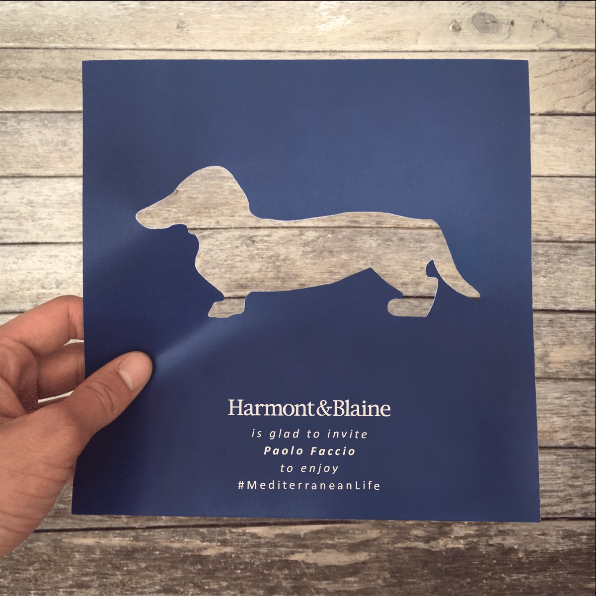 Harmont_Blaine's tweet photo. Can an invitation change a pre-fall afternoon? #Day0 #FW1617 #MediterraneanLife #HBexperience https://t.co/RtcGOba7dG