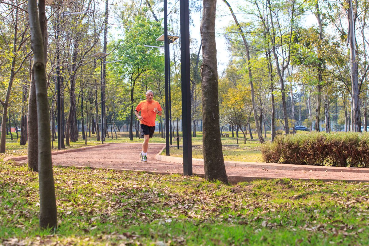 ChapultepecCDMX's tweet photo. En tu recorrido por la pista atlética El Sope disfrutarás sobre el perímetro plantaciones de vegetación
@DeporteCdMx https://t.co/YecmGxikW6