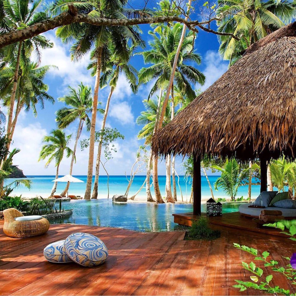 Tripstir app tweet media