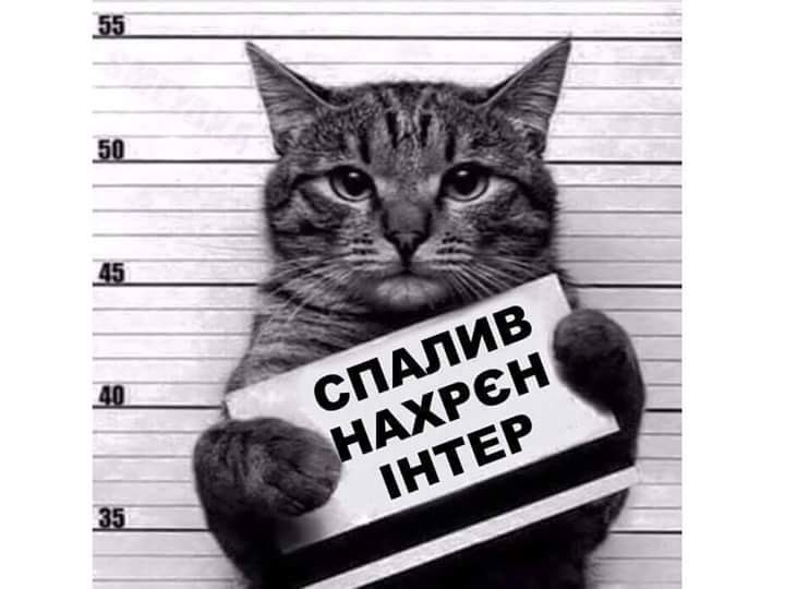 "Интер" не подавал заявление о препятствовании журналистской деятельности в полицию, - Крищенко - Цензор.НЕТ 793