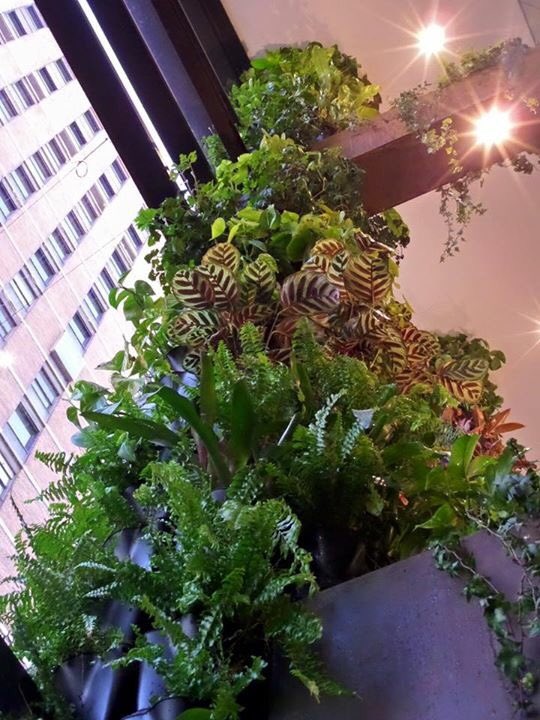 Indrukwekkende plantenwand zuilen van 10 meter hoog. Gemaakt met 300 Minigarden Corner modules per zuil.