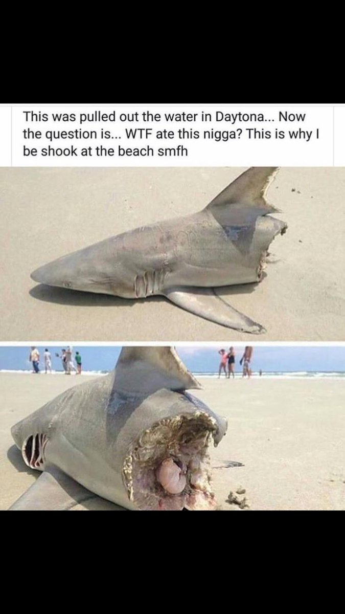 PatTheBuddy's tweet photo. Pray for Daytona🙏🏾 it's nothing wrong with them they just got Alaskan bull worms https://t.co/Zoie6qaTDi