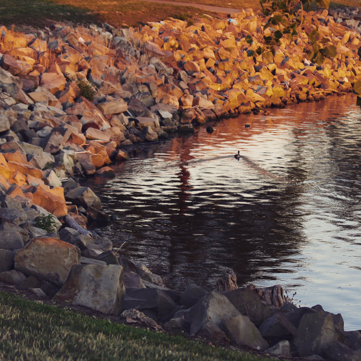 KayMDavid's tweet image. Sunset Serenity