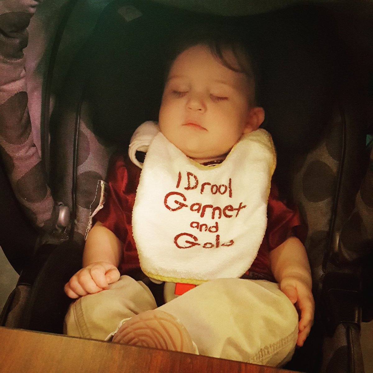 sralaw2011's tweet photo. @FSU_Football @floridastate Resting up for the big game! #chillPaxin #BeatOleMiss #fsufootball #FSU https://t.co/RjT3fvD4c4