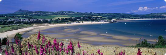 yogainthebarn's tweet photo. Yoga in the Barn WEEKEND YOGA RETREAT IN ABERSOCH, WALES!!! ☀️ 🙌 

30th Sep... Completely #relax #restore #abersoch https://t.co/W0UIHlVZNA
