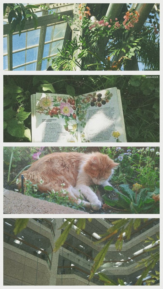 helocks's tweet image. random lockscreen

retweet se salvou
mande um print se usar
/gabriel