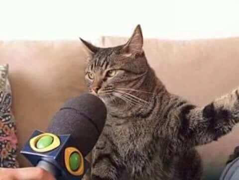 Ver imagem no Twitter Ver imagem no Twitter