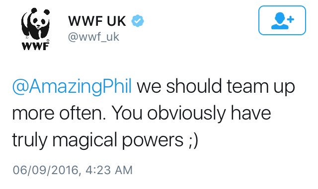bingshua's tweet photo. even wwf is flirting with phil lester https://t.co/EdG5Oe91Uc