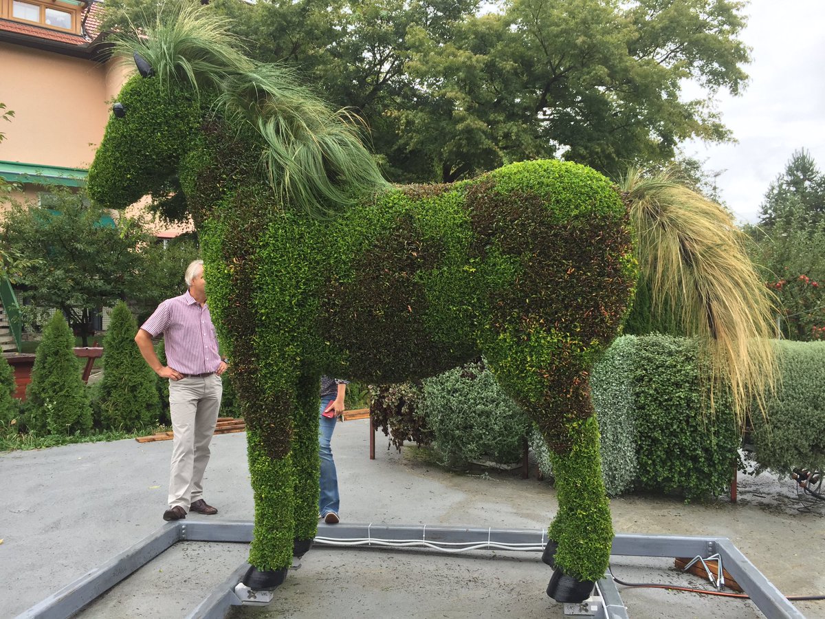 #urban gardening, green sculpture. Plants are growing in 100% volcanic rock based mineral wool substrate.