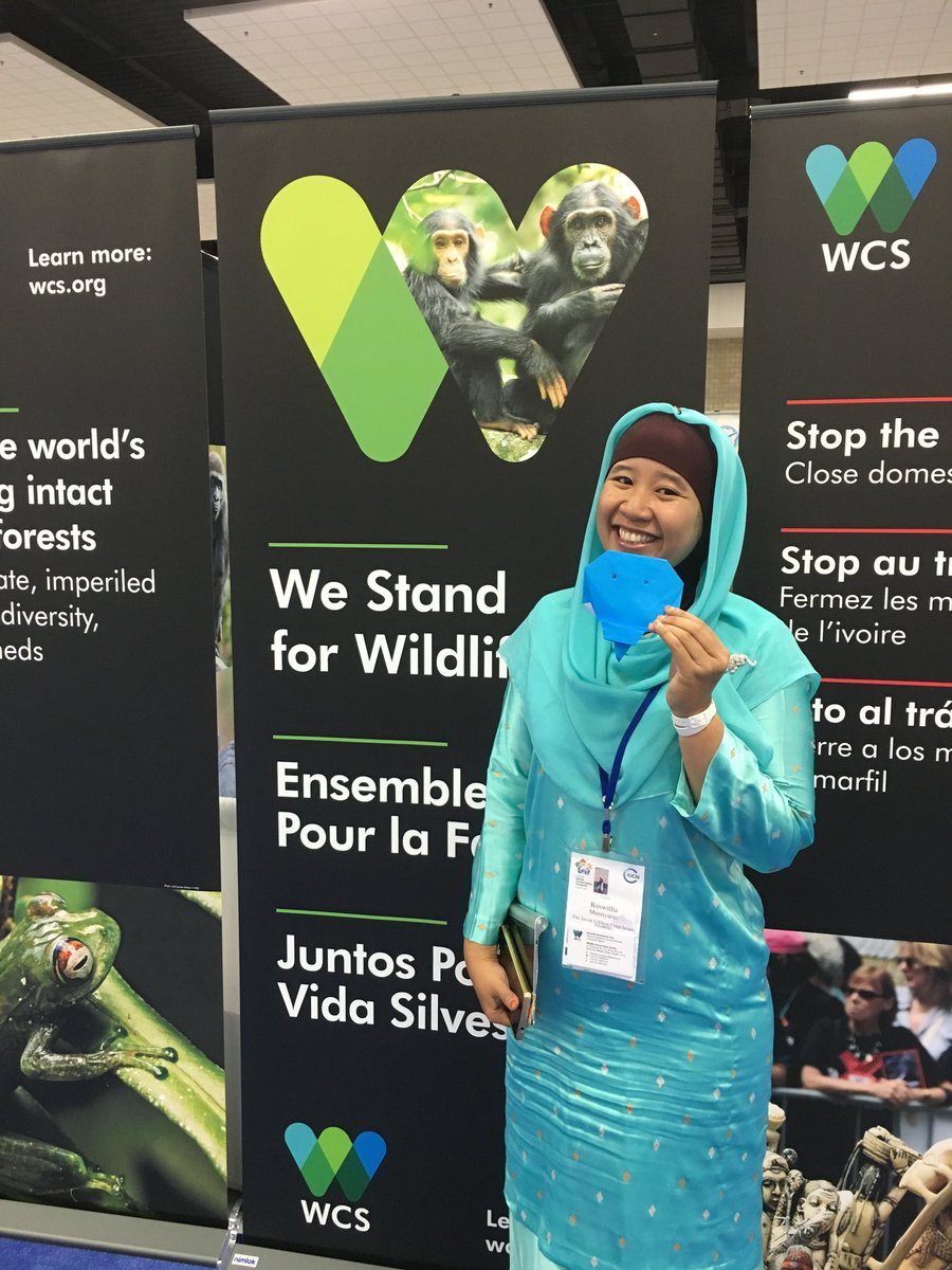TheWCS's tweet image. .@WCS_ID took the #elephantorigamichallenge at #IUCNCongress- one step closer to a World Record for #elephants!