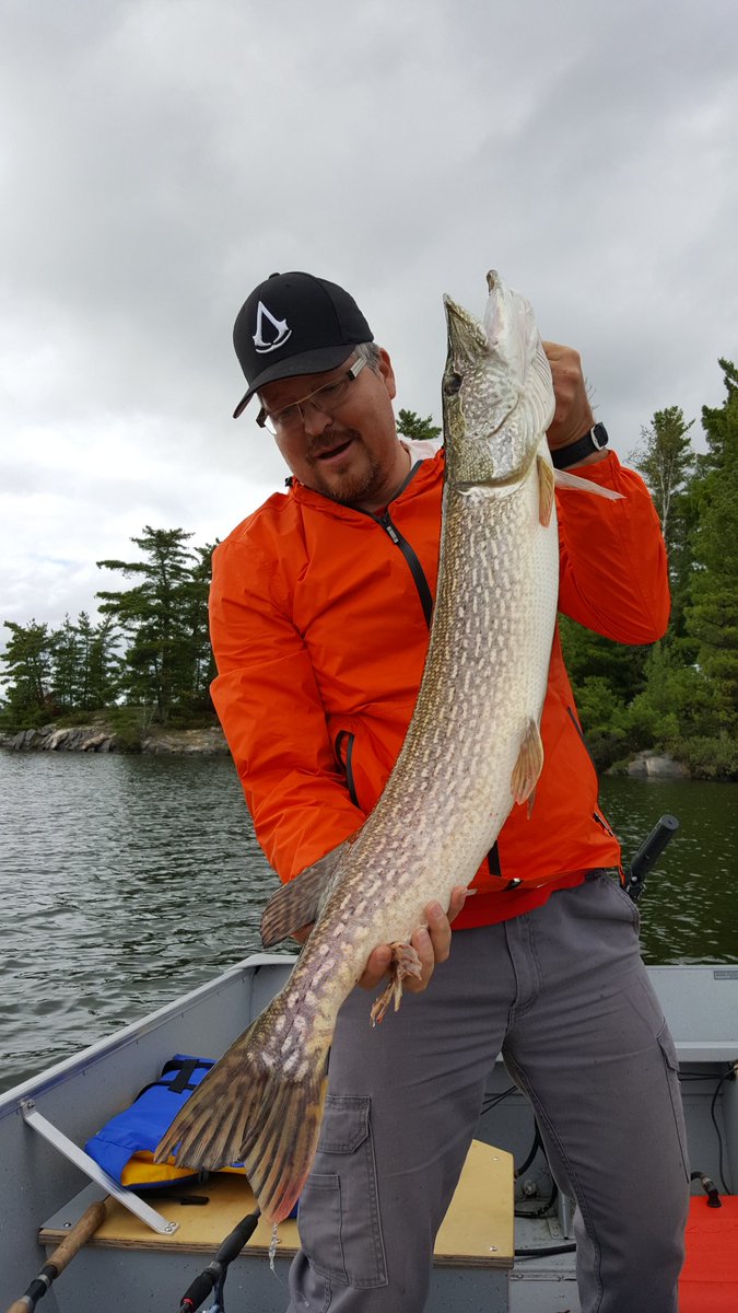 rainylakeangler's tweet photo. Great fight! Released to fight another day. #northernpike #catchandrelease #rainylake https://t.co/EY10slYcm3