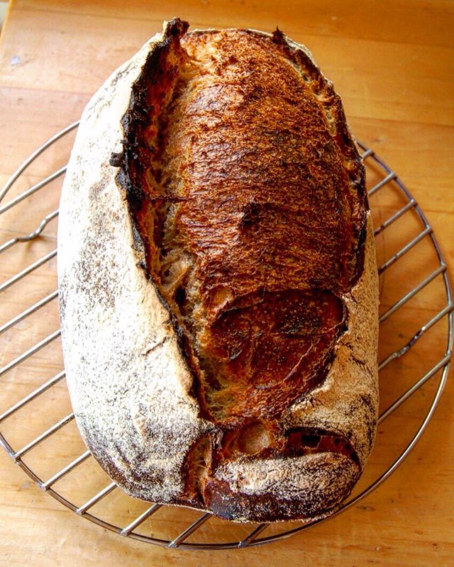 homebreadbaker1's tweet photo. check out my instagram feed for the recipe. https://t.co/r08atzFOzC
#homebaker #sourdough #organicbread #realbread https://t.co/su68bDmUMd