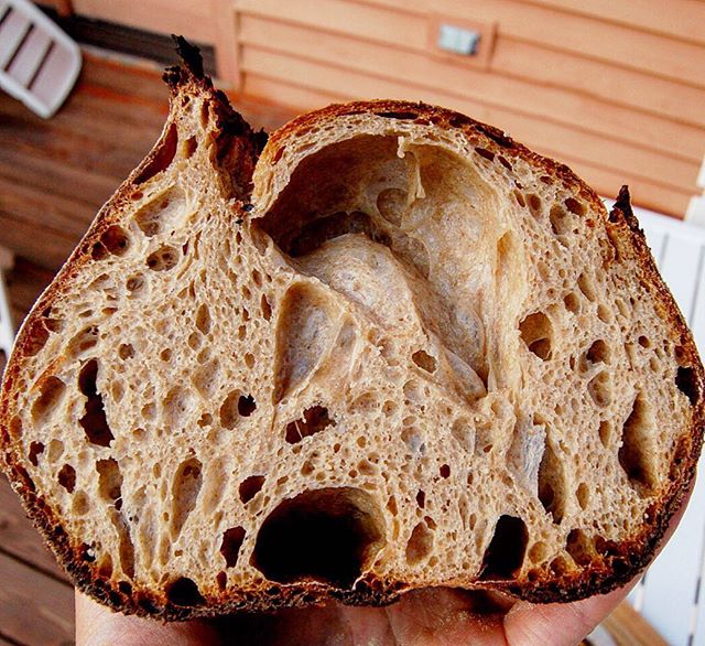 homebreadbaker1's tweet photo. check out my instagram feed for the recipe. https://t.co/r08atzFOzC
#homebaker #sourdough #organicbread #realbread https://t.co/EO4giPlV4l