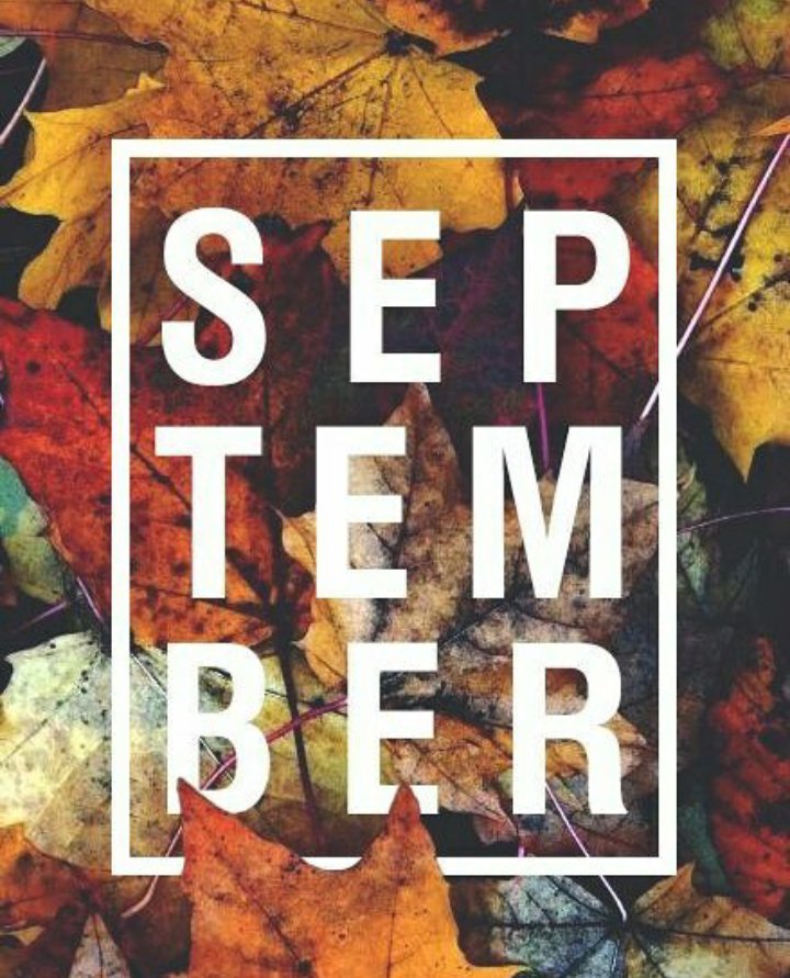 Is it September already? Big things coming, but we want to know what you'd like to see. #beard #handcrafted #natural