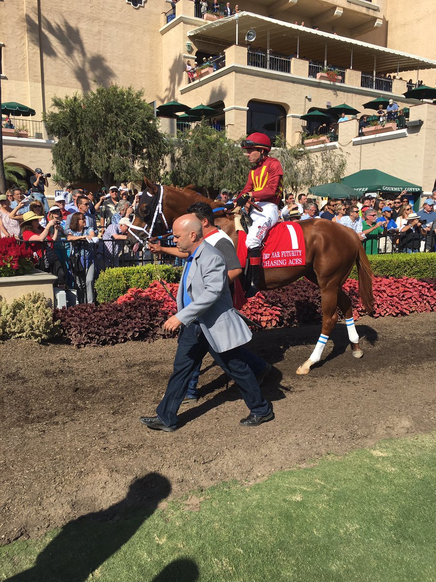 MargaretDammit's tweet photo. #ChasingAces for @petemilleracing @DelMarRacing Futurity @betusracing #looksgood https://t.co/eYtJ0UblQq