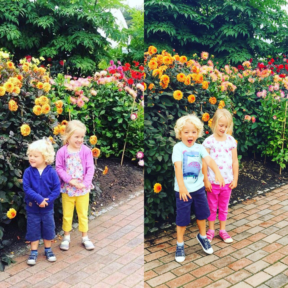 LauraEVincent's tweet photo. It's not just plants that grow @edenproject children do too! #edenphotocomp #365daysapart #familydayout #YearPass https://t.co/vYIbMSowrM