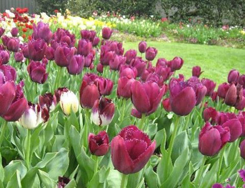 CWA of NSW tweet media