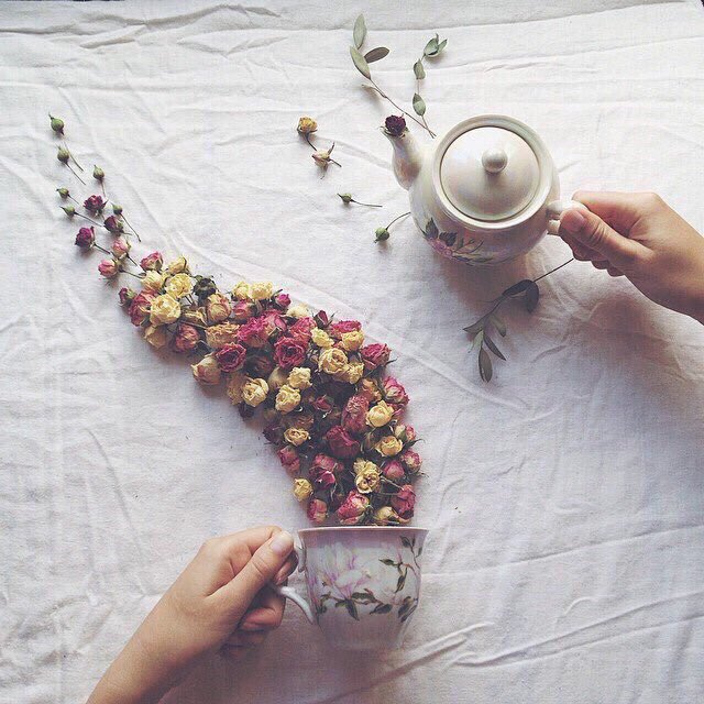 cafe_venti's tweet photo. https://t.co/ie8laH3DsC