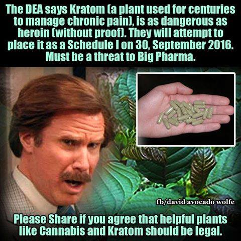 DavidWolfe tweet picture