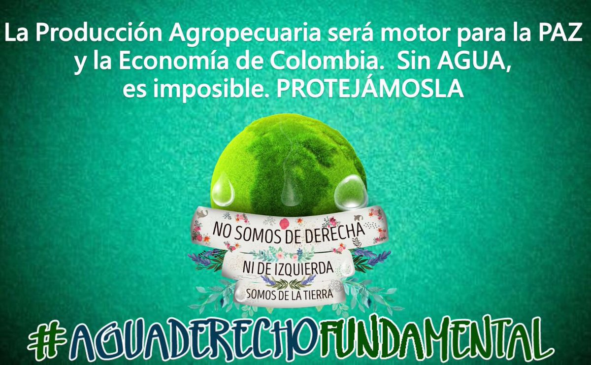 Jorge Prieto Riveros tweet media