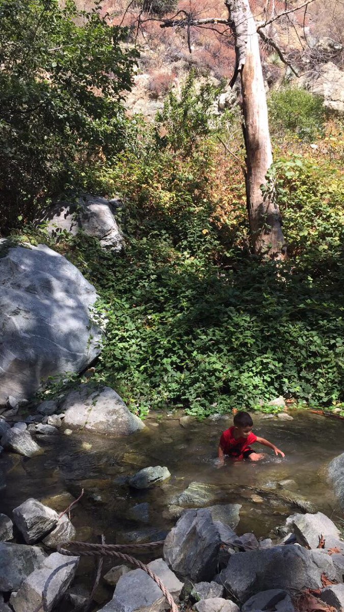 leetreeees's tweet photo. #zekethefreak @daisysidewalk https://t.co/NowRC7UdLP