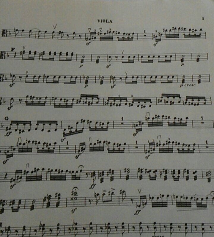 mmuyricosuave's tweet photo. okay Schumann I know I just complained ab Haydn but lets be real #violaproblems ๐ฅ https://t.co/xKuXFkj37A