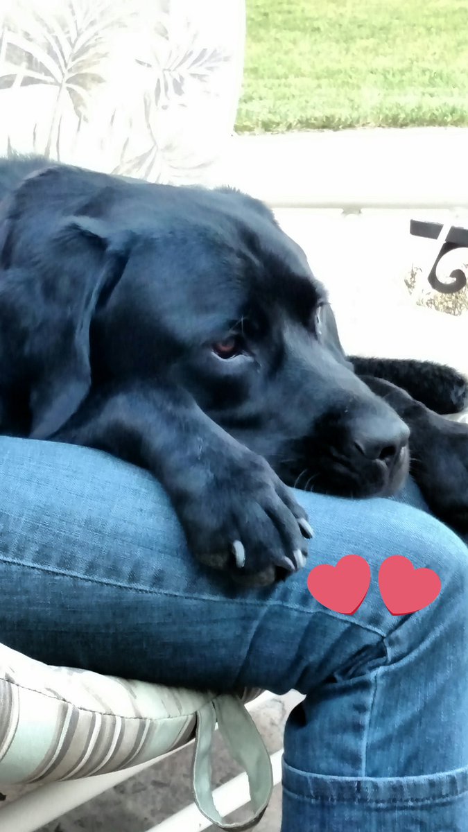 blackfridayjake's tweet photo. Happy Labor Day. Me exhausted from playing all day. #Jakeyout https://t.co/NngVLh5KhZ