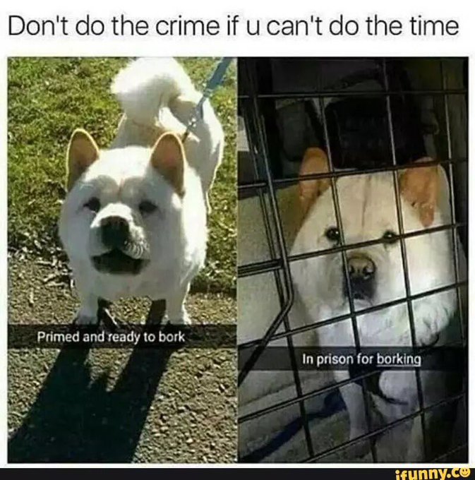 Watch Ava's leaked NSFW photo on TwXstars