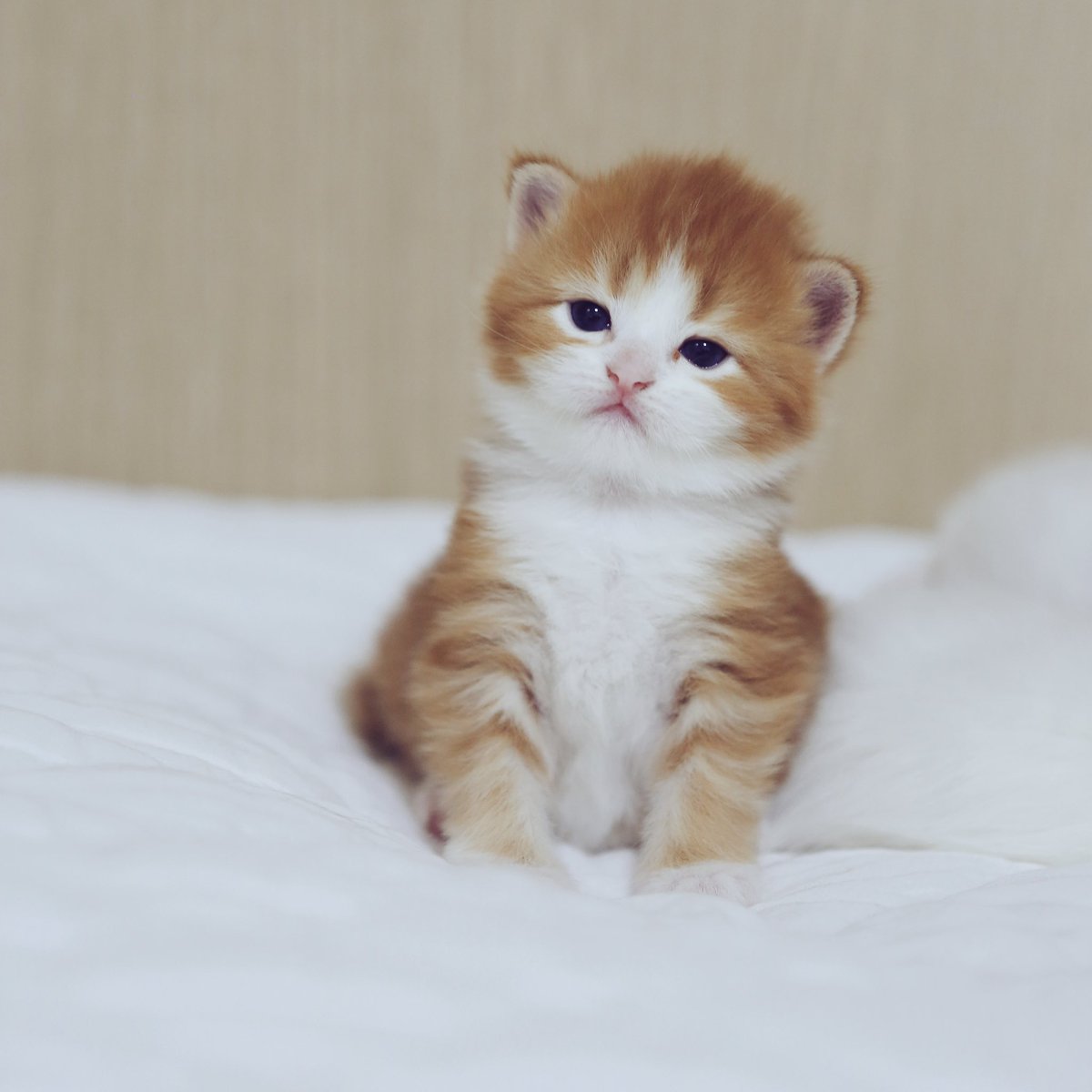 생후 8일 vs 27일.😅