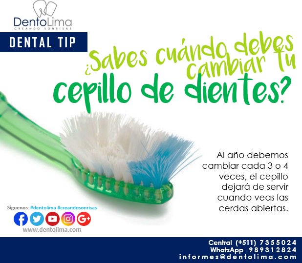 DentoLima's tweet photo. ¿Sabes cuando debes cambiar tu #cepillo de #dientes? Te dejamos un tip #dentolima #creandosonrisas  #TipsDeBelleza https://t.co/2k7wZfUXpX