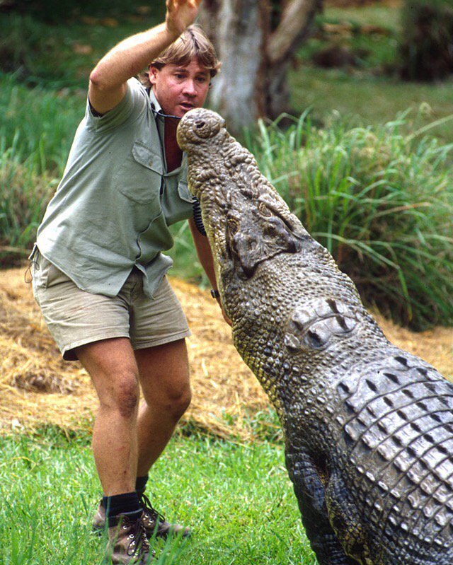AustraliaZoo's tweet photo. Remembering the greatest Wildlife Warrior that ever lived. His legacy will carry on forever here at Australia Zoo. https://t.co/DukbmNwXUf