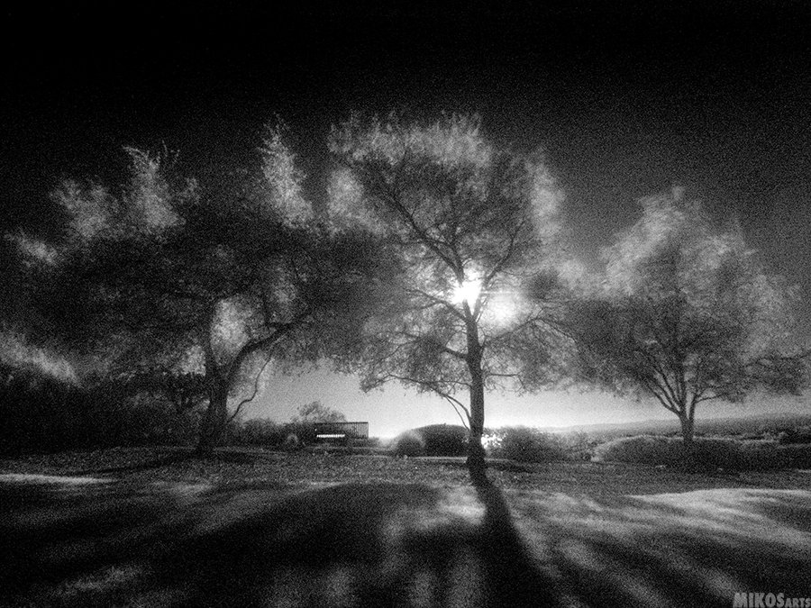 MIKOSarts's tweet image. Black &amp;amp; White Photography #photography #followart #photo #art #mikos #arts #blackandwhite #fineart #twitart #arttwit